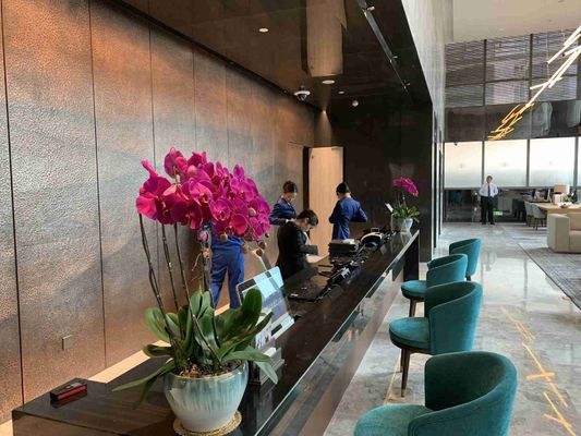 مجموعة أثاث من الخشب الصلب ASCOTT مجموعات غرفة المعيشة للشقق ODM